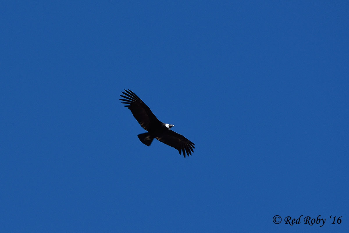 ../Patagonia/Estancia_Cristina_1429.jpg