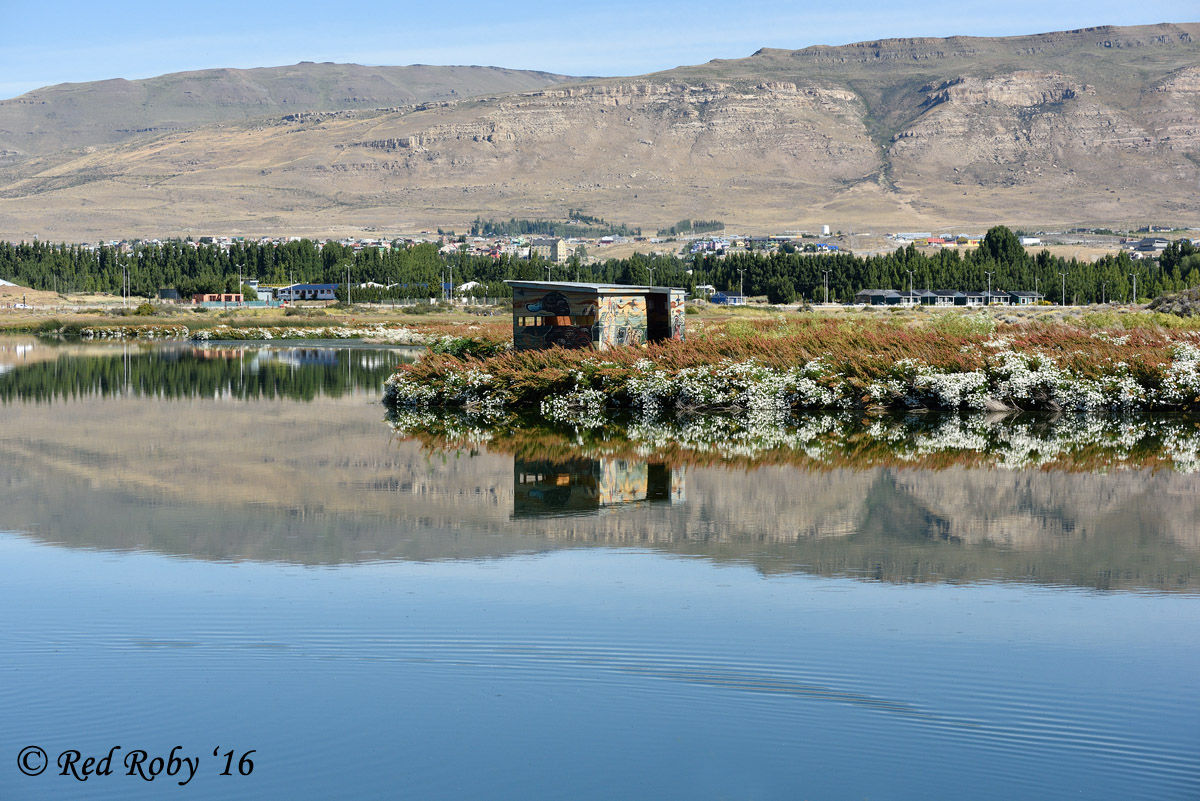 ../Patagonia/Laguna_Nimez_2191.jpg