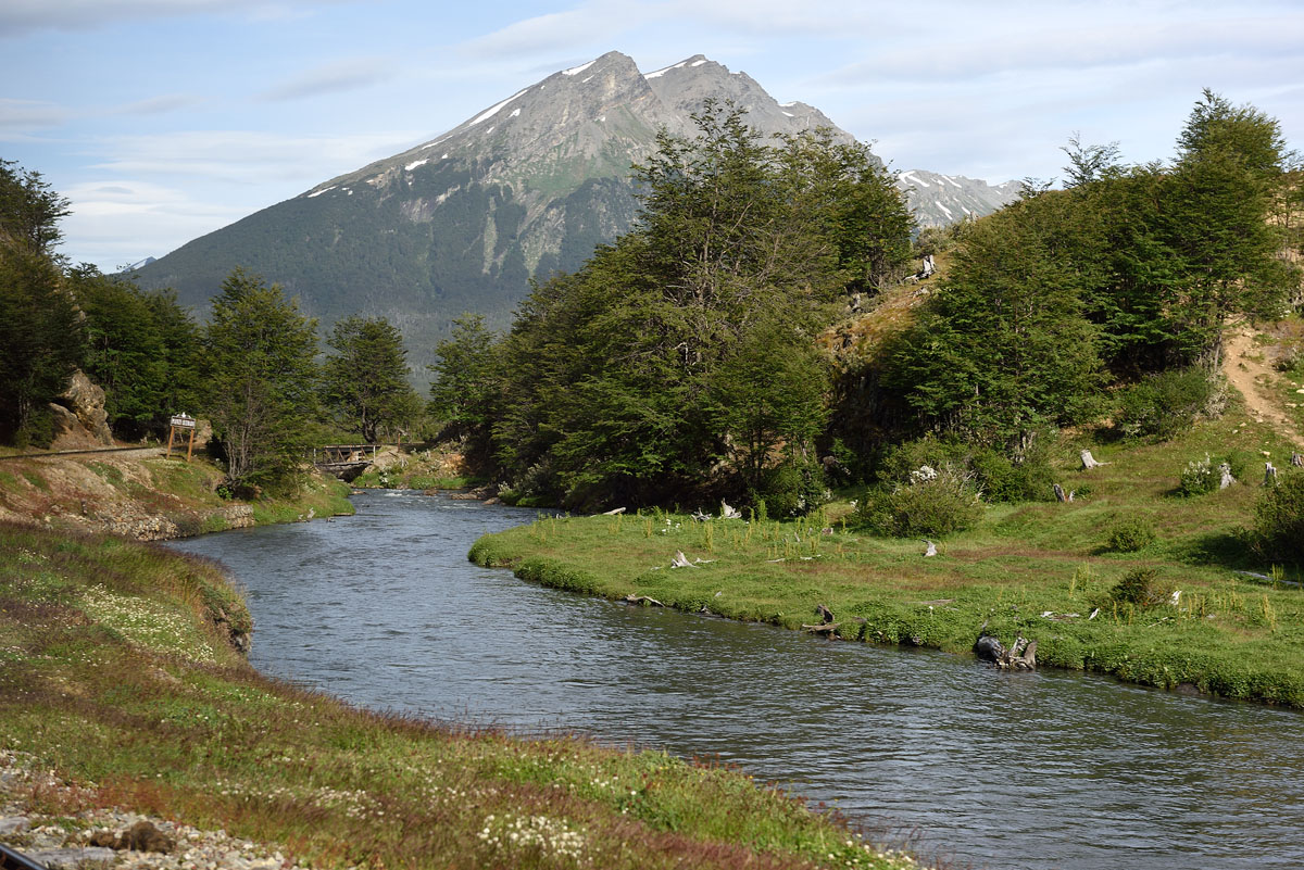 ../Patagonia/Parco_Terra_del_fuoco_0419.jpg