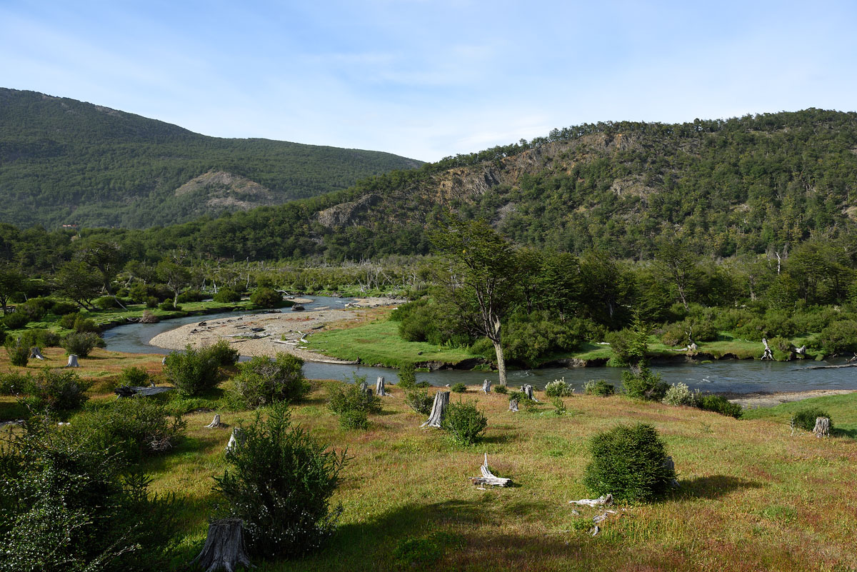 ../Patagonia/Parco_Terra_del_fuoco_0420.jpg