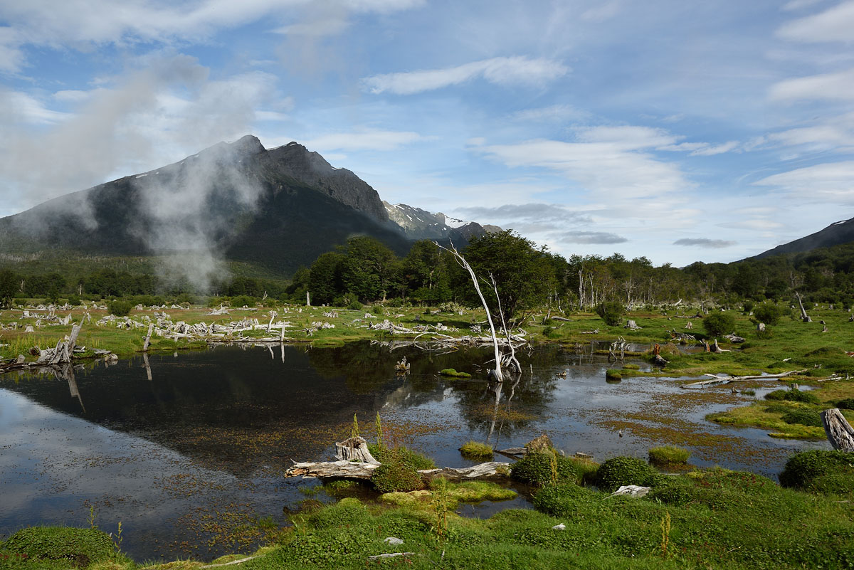 ../Patagonia/Parco_Terra_del_fuoco_0433.jpg