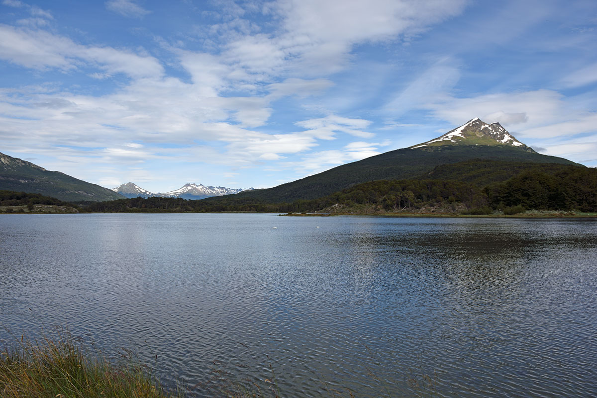 ../Patagonia/Parco_Terra_del_fuoco_0437.jpg