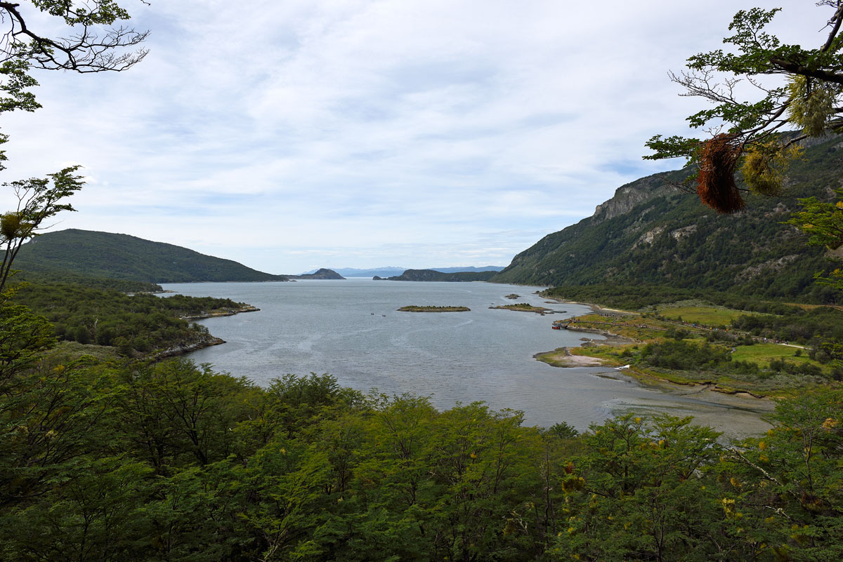 ../Patagonia/Parco_Terra_del_fuoco_0442.jpg