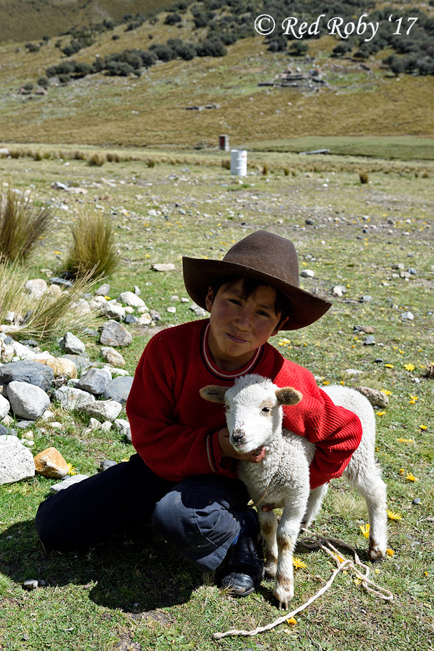 ../Peru/Chavin_22952.jpg