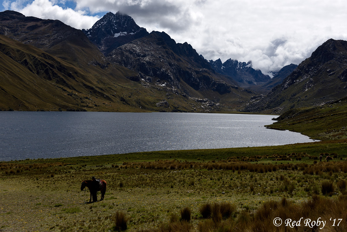 ../Peru/Chavin_22969.jpg