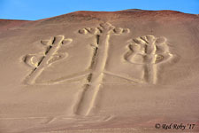 ../Viaggi/Peru/Paracas_21071ter.jpg
