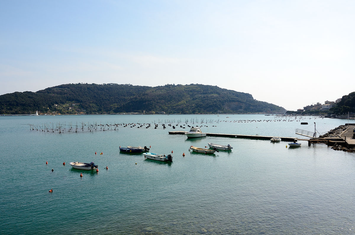 ../Viaggi/Portovenere/082.jpg