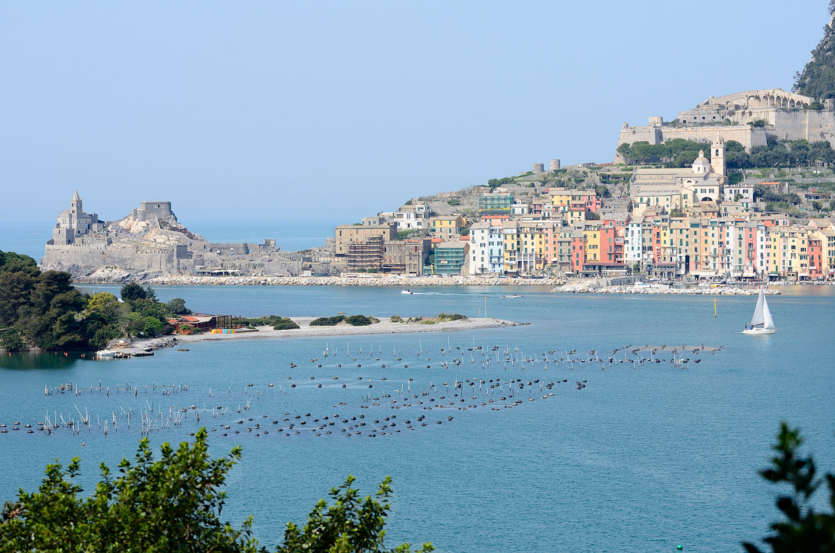 ../Viaggi/Portovenere/113.jpg