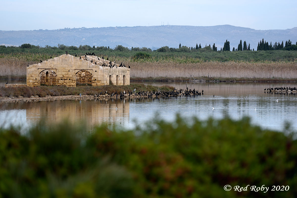 ../Viaggi/Sicilia/170.jpg