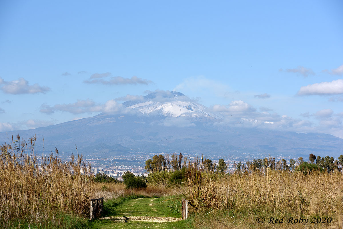 ../Viaggi/Sicilia/583.jpg