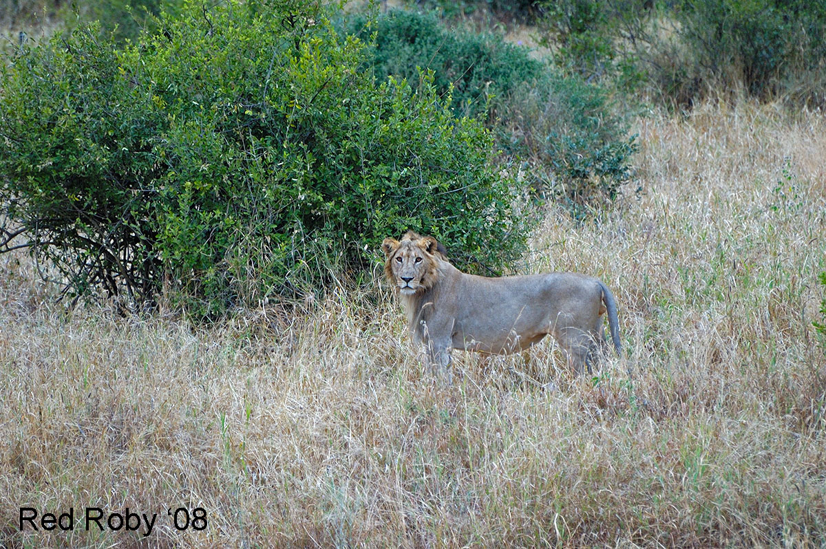 ../Viaggi/Tanzania/0041.jpg