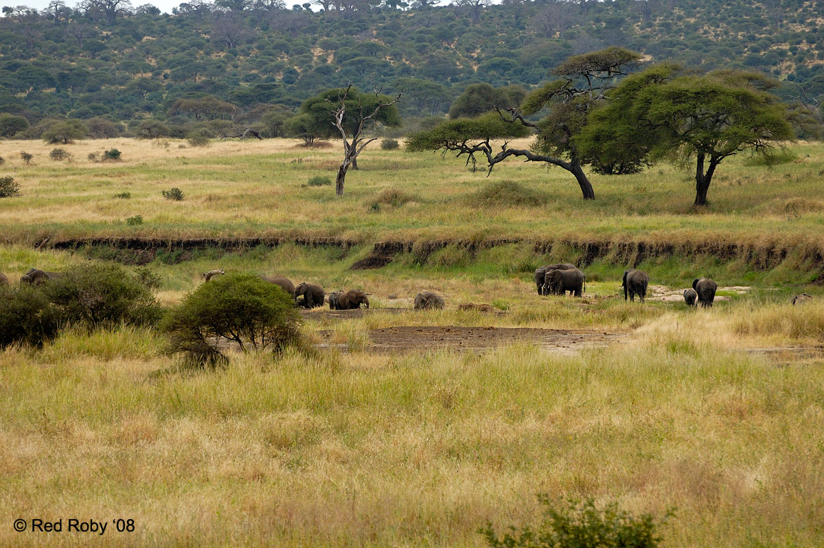 ../Viaggi/Tanzania/0232.jpg
