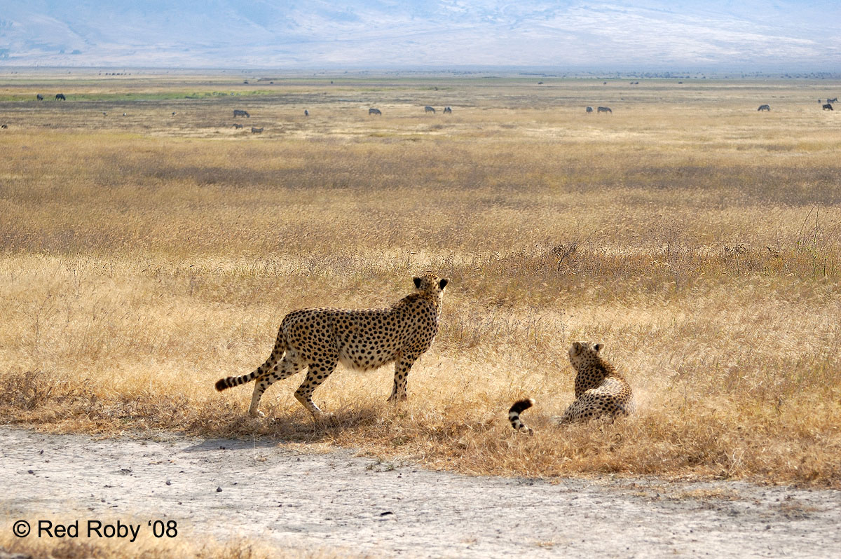 ../Viaggi/Tanzania/0673.jpg