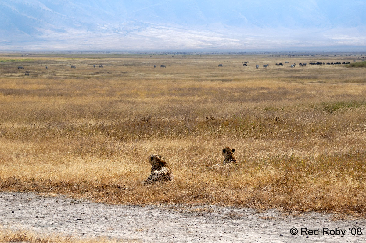 ../Viaggi/Tanzania/0677.jpg
