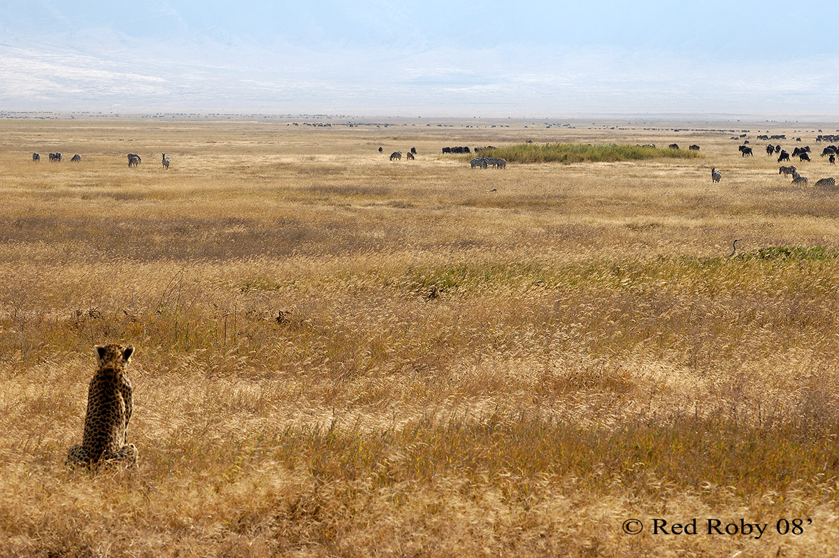 ../Viaggi/Tanzania/0711.jpg
