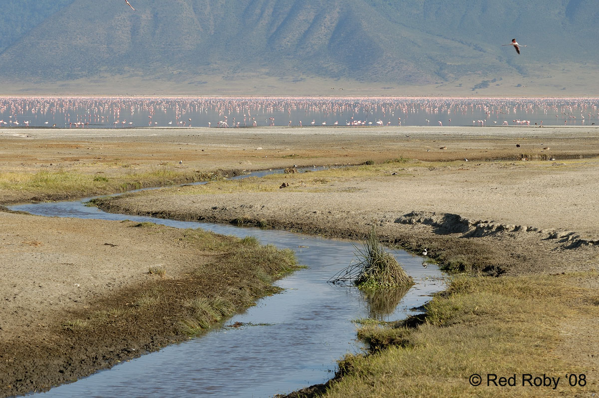 ../Viaggi/Tanzania/0852.jpg