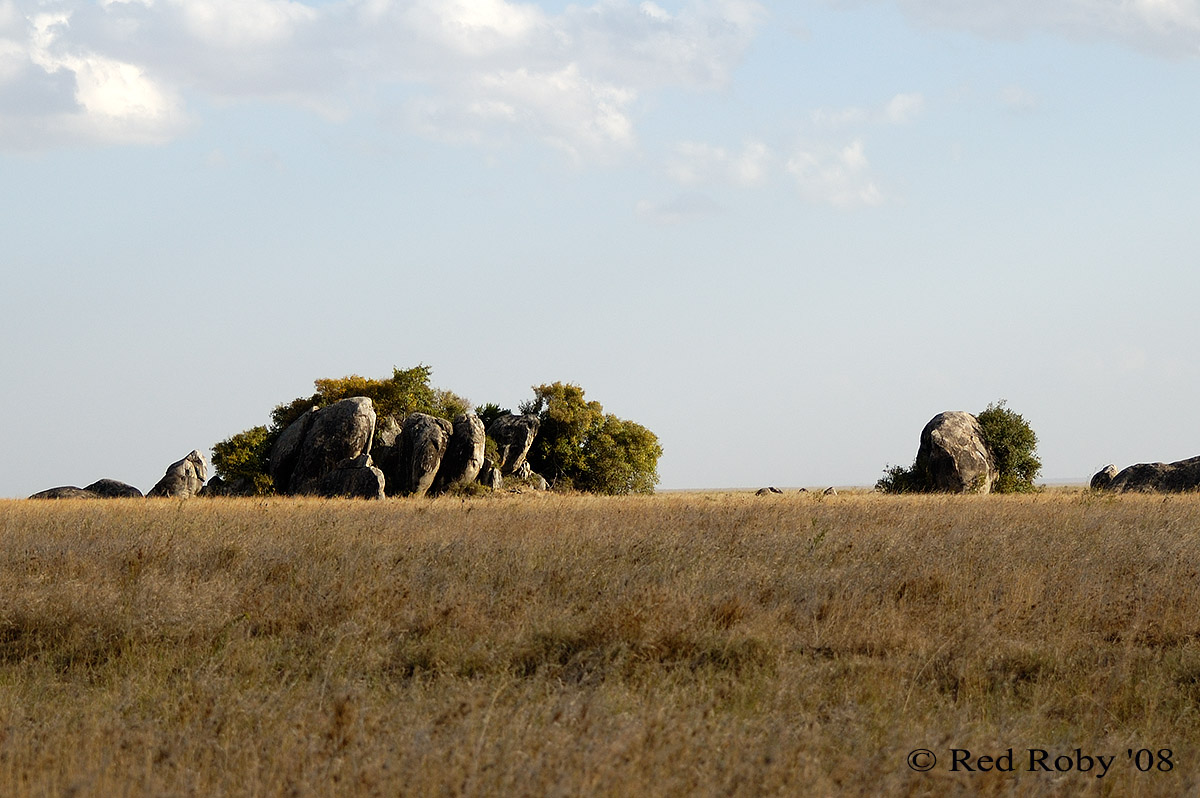 ../Viaggi/Tanzania/1046.jpg