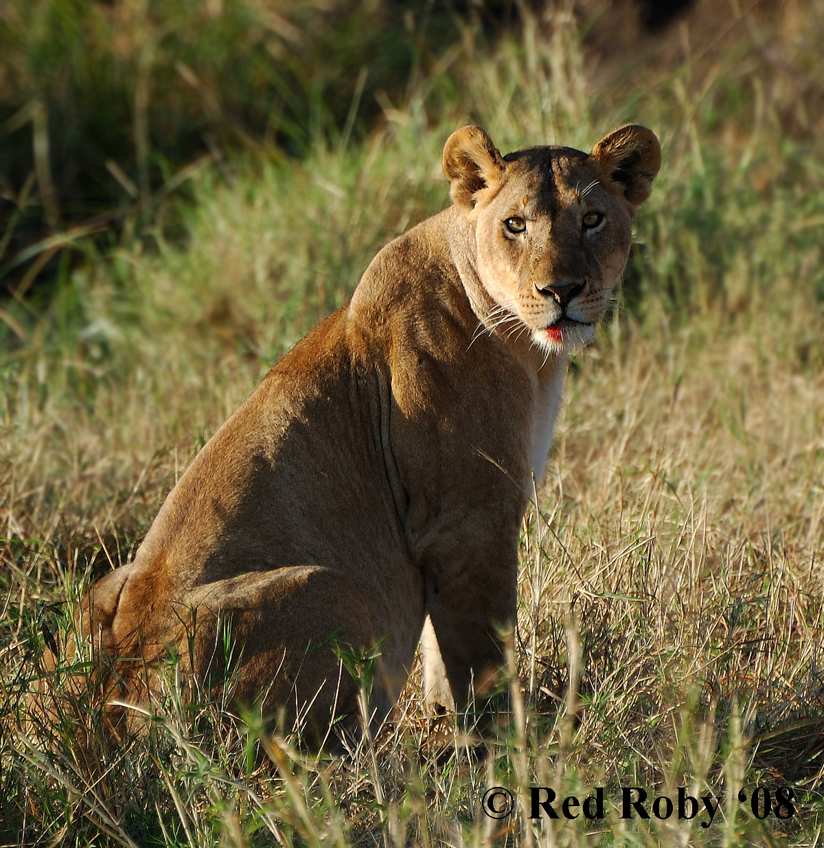 ../Viaggi/Tanzania/1283.jpg