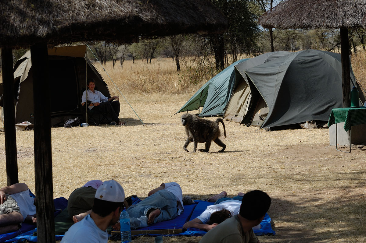 ../Viaggi/Tanzania/2077.jpg