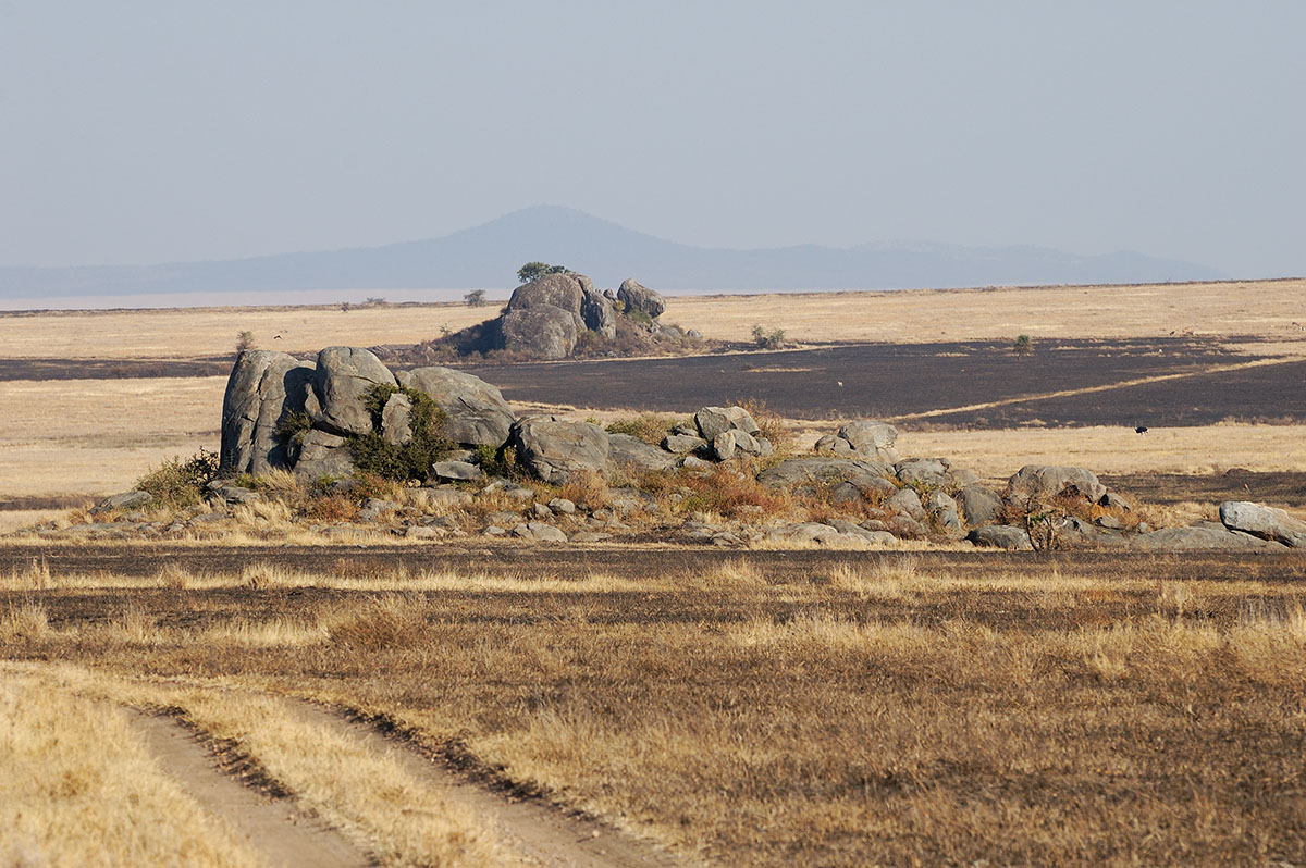 ../Viaggi/Tanzania/2328.jpg
