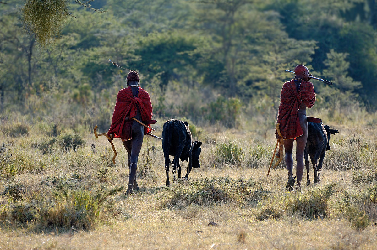 ../Viaggi/Tanzania/2427.jpg
