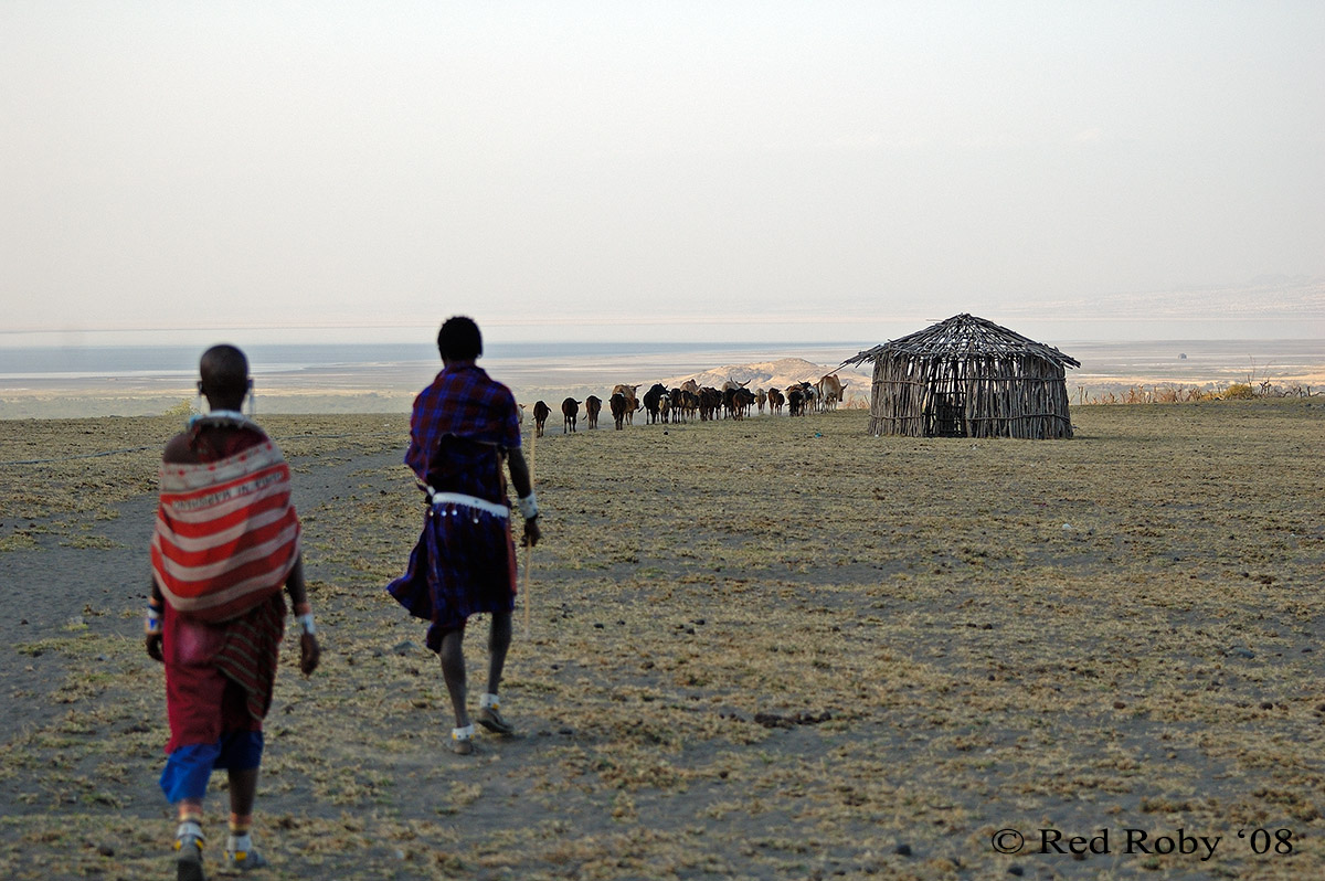 ../Viaggi/Tanzania/2460.jpg