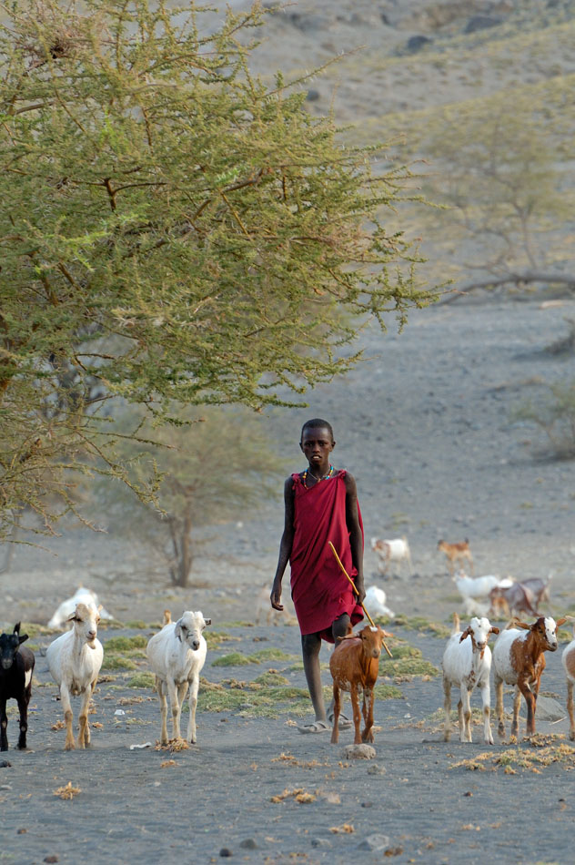 ../Viaggi/Tanzania/2491.jpg
