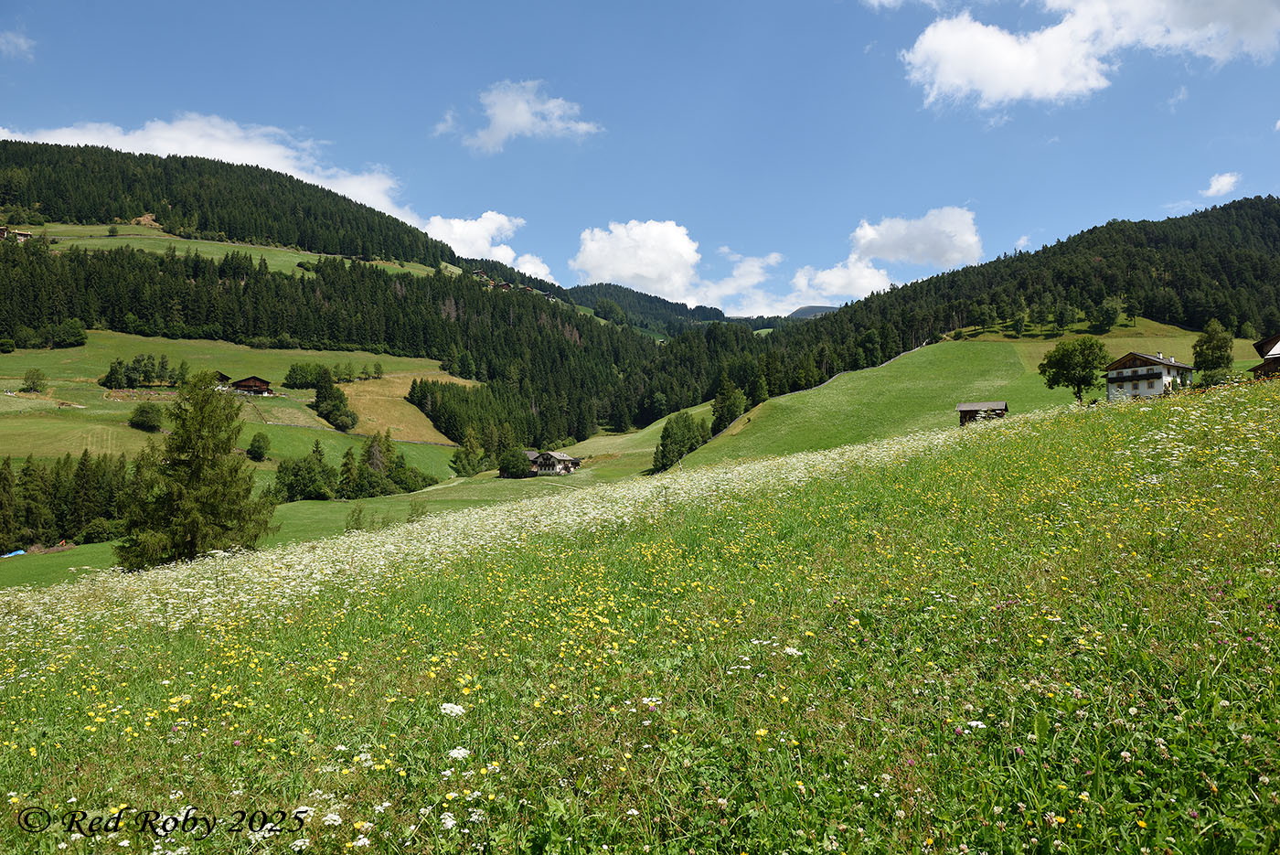 ../Viaggi/Val_di_Funes/Funes_011566.jpg