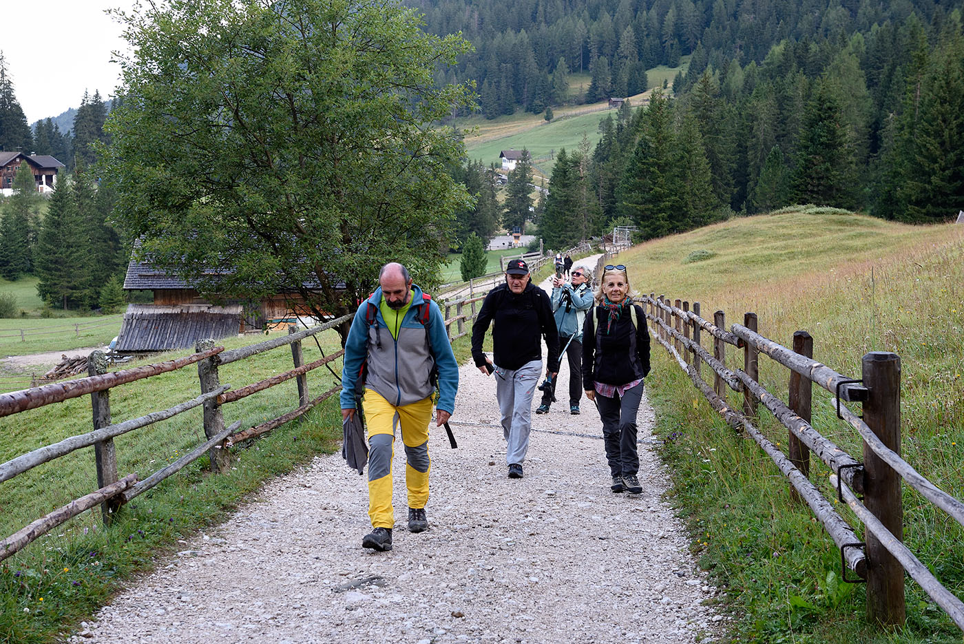../Viaggi/Val_di_Funes/Funes_011702.jpg