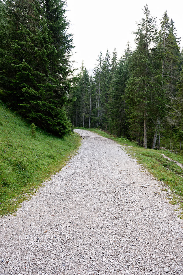 ../Viaggi/Val_di_Funes/Funes_011705.jpg