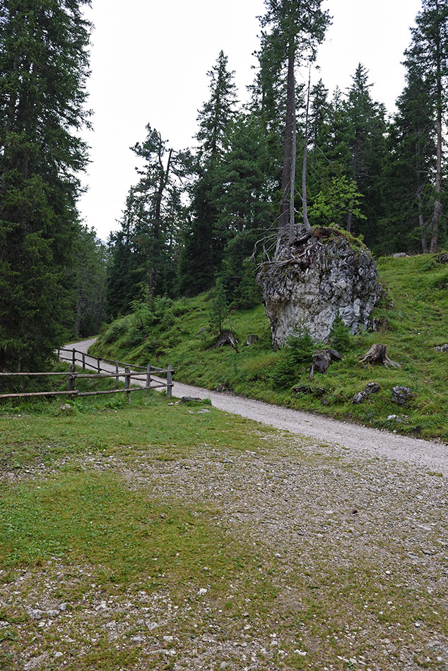 ../Viaggi/Val_di_Funes/Funes_011707.jpg