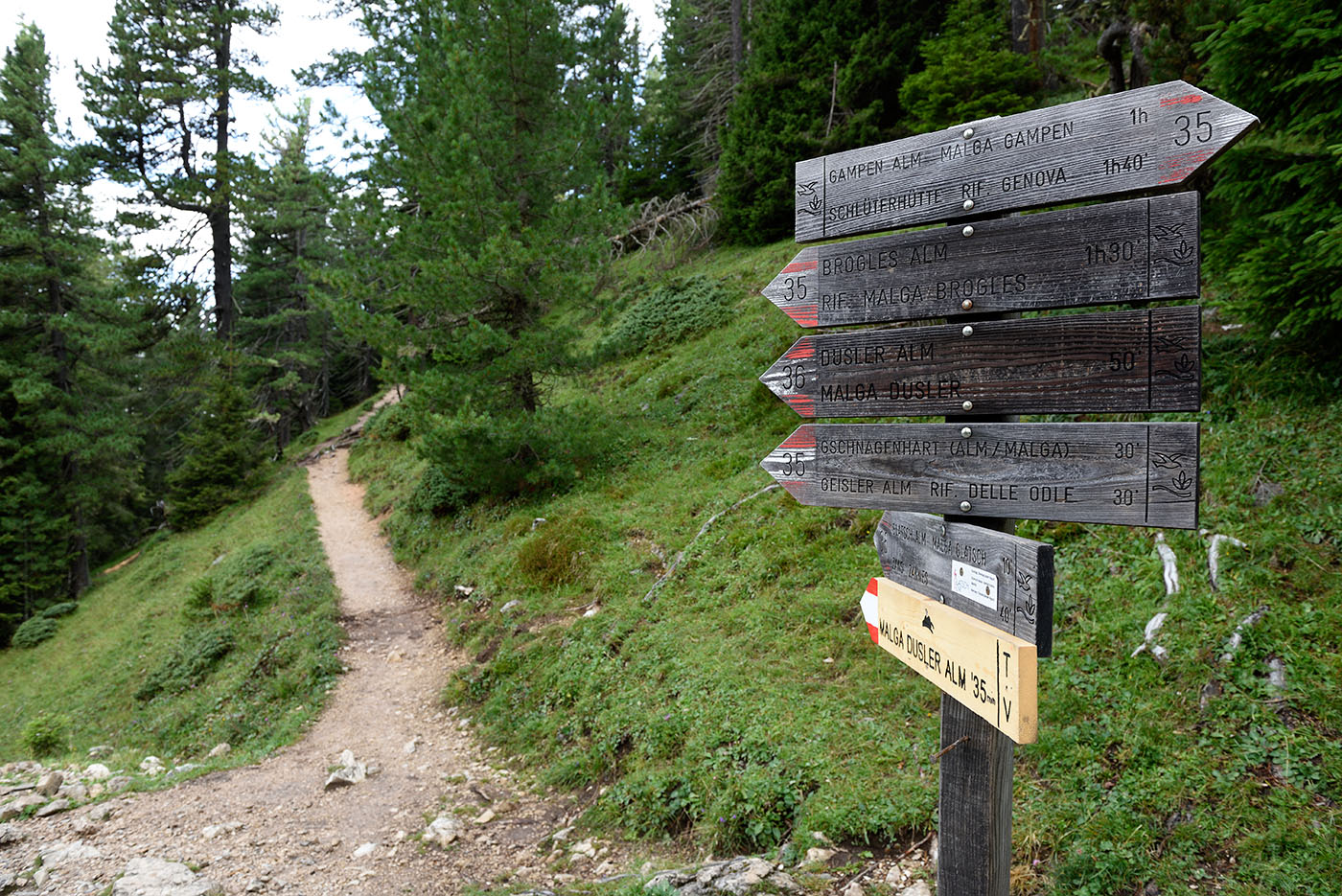 ../Viaggi/Val_di_Funes/Funes_011747.jpg