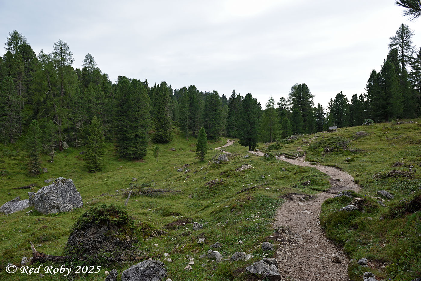 ../Viaggi/Val_di_Funes/Funes_011751.jpg