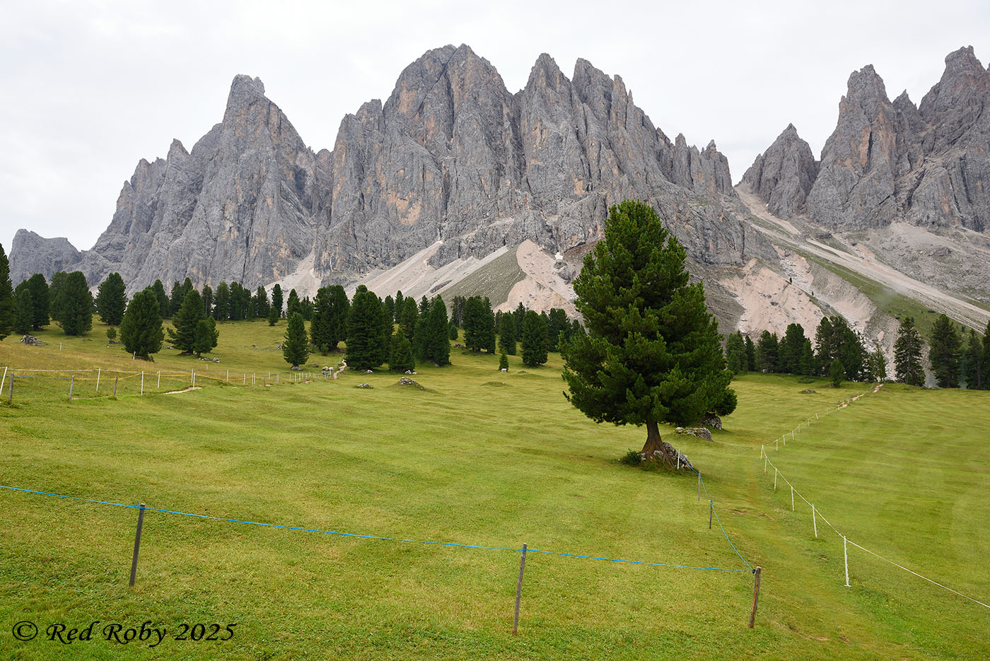 ../Viaggi/Val_di_Funes/Funes_011760.jpg