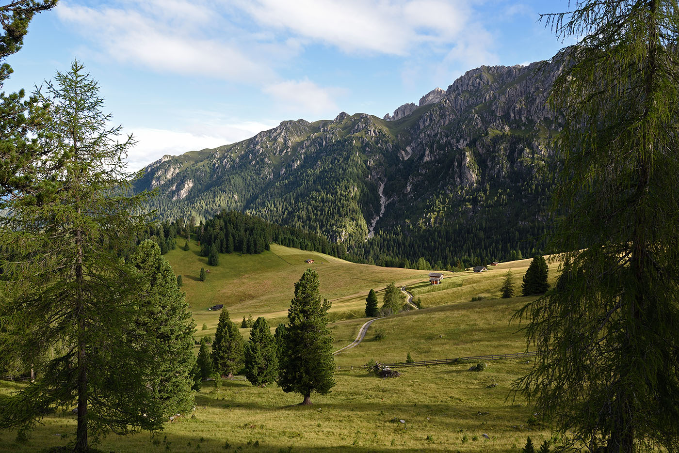../Viaggi/Val_di_Funes/Funes_011852.jpg