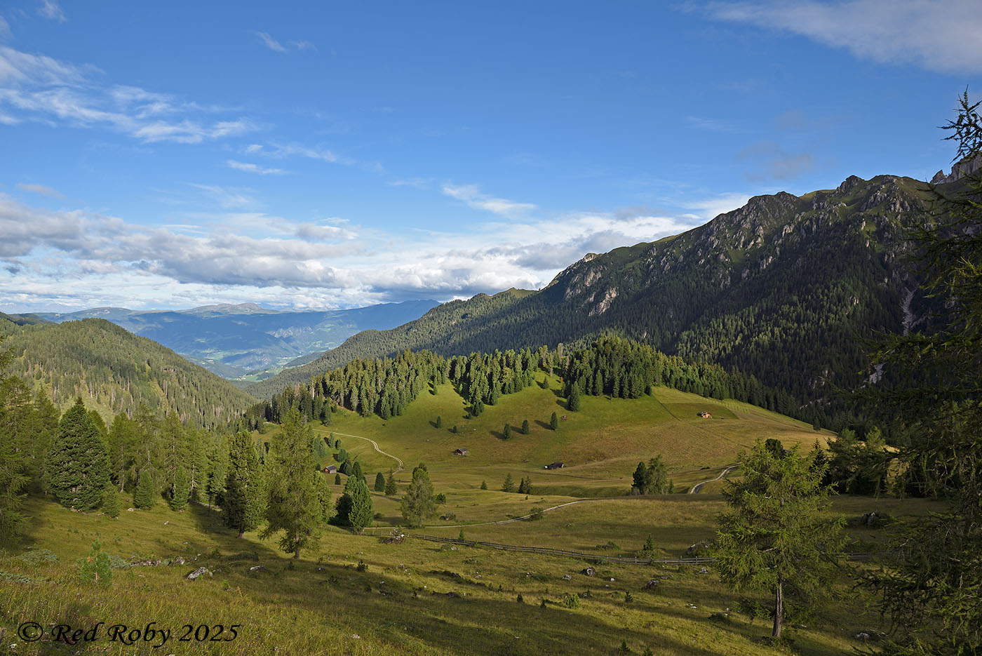 ../Viaggi/Val_di_Funes/Funes_011854.jpg