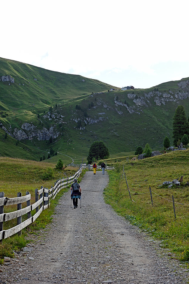 ../Viaggi/Val_di_Funes/Funes_011856.jpg
