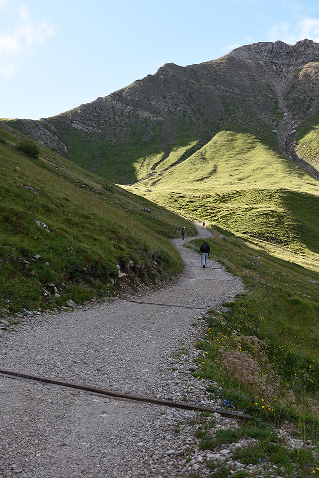 ../Viaggi/Val_di_Funes/Funes_011869.jpg