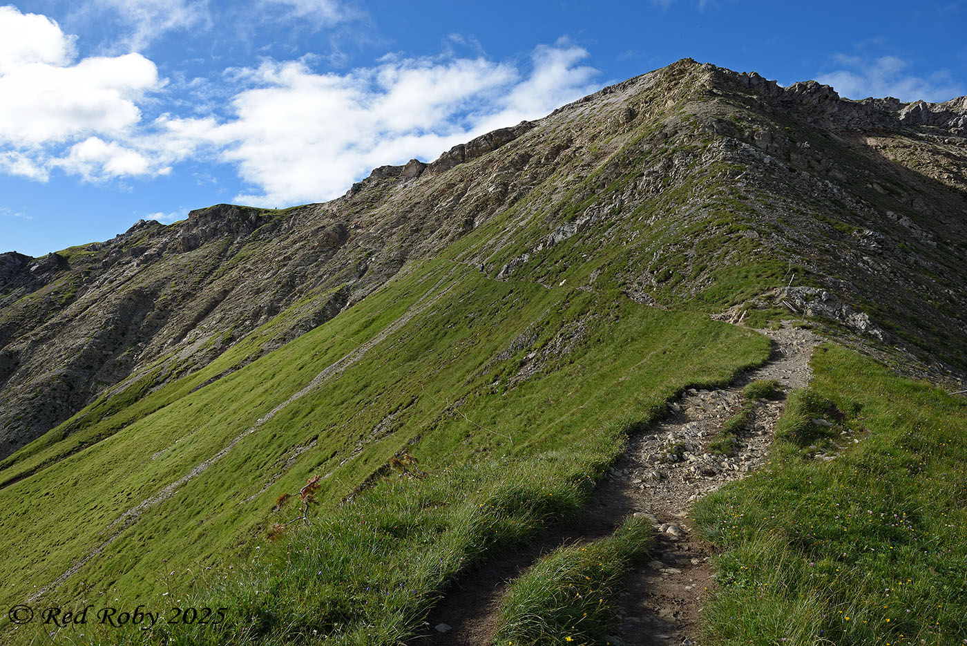 ../Viaggi/Val_di_Funes/Funes_011875.jpg