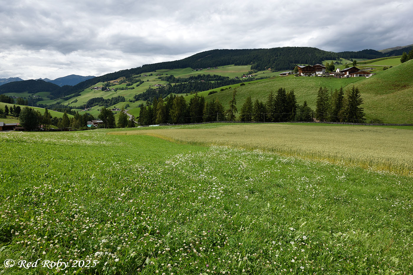 ../Viaggi/Val_di_Funes/Funes_012084.jpg