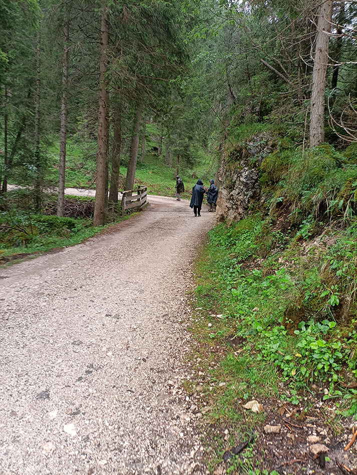 ../Viaggi/Val_di_Funes/IMG20250725131919.jpg
