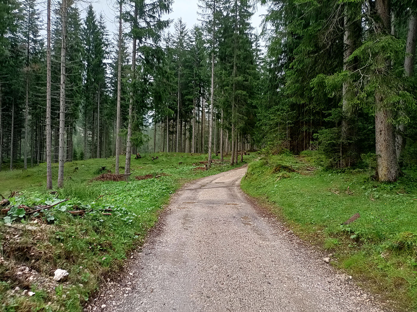 ../Viaggi/Val_di_Funes/IMG20250725132616.jpg