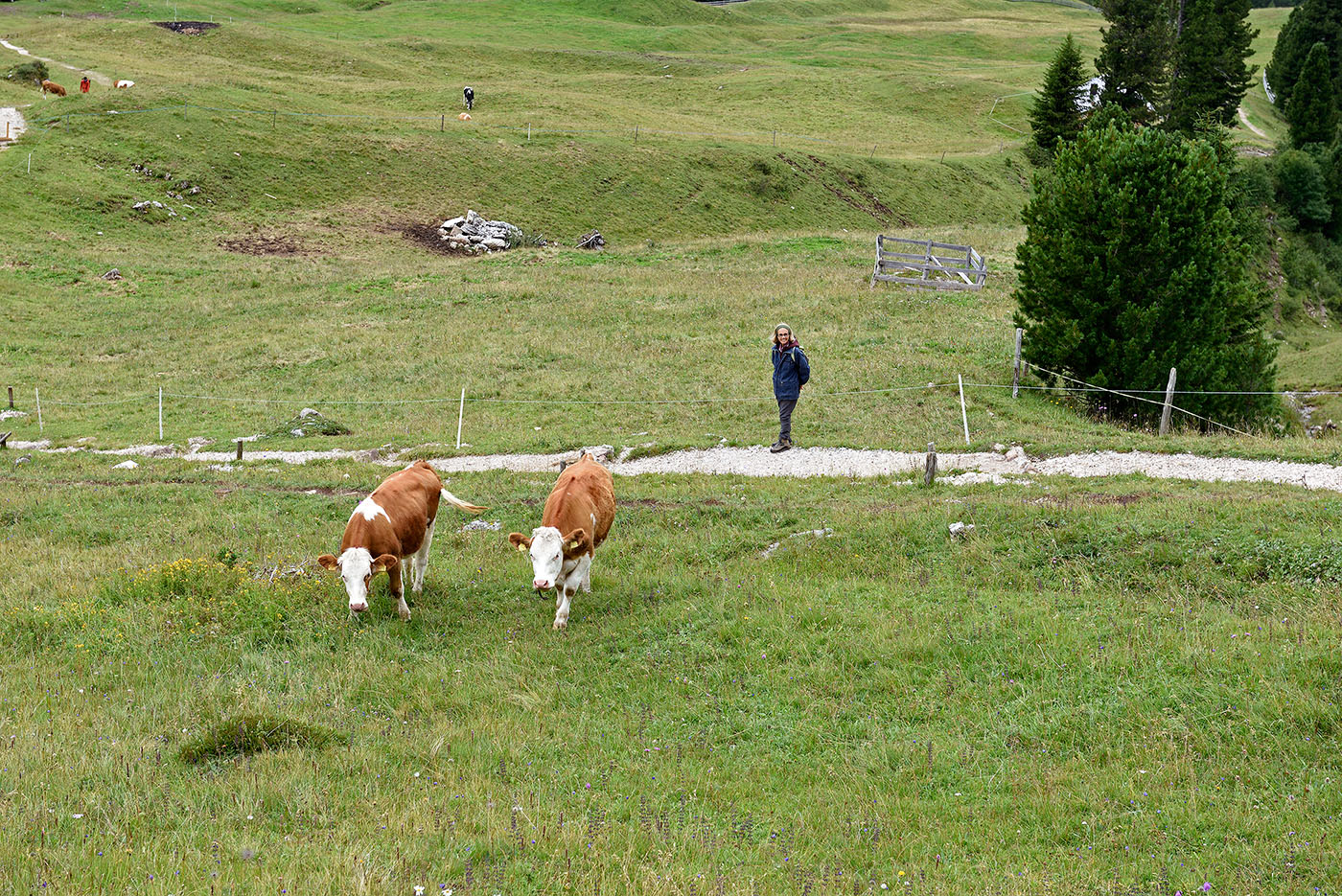 ../Viaggi/Val_di_Funes/Malga_Gampen_011982.jpg