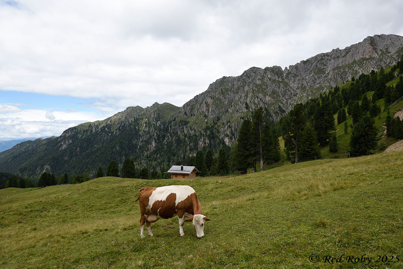 ../Viaggi/Val_di_Funes/Malga_Gampen_011988.jpg