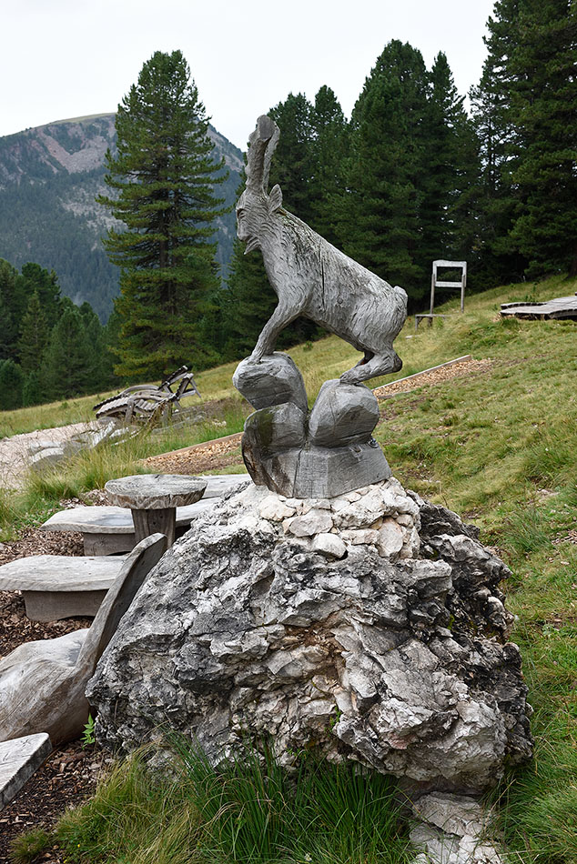 ../Viaggi/Val_di_Funes/Rifugio_Odle_011777.jpg