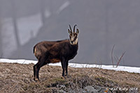 ../Viaggi/Valsavarenche/001295ter.jpg
