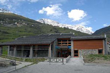 Valfurva