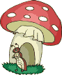 fungo5